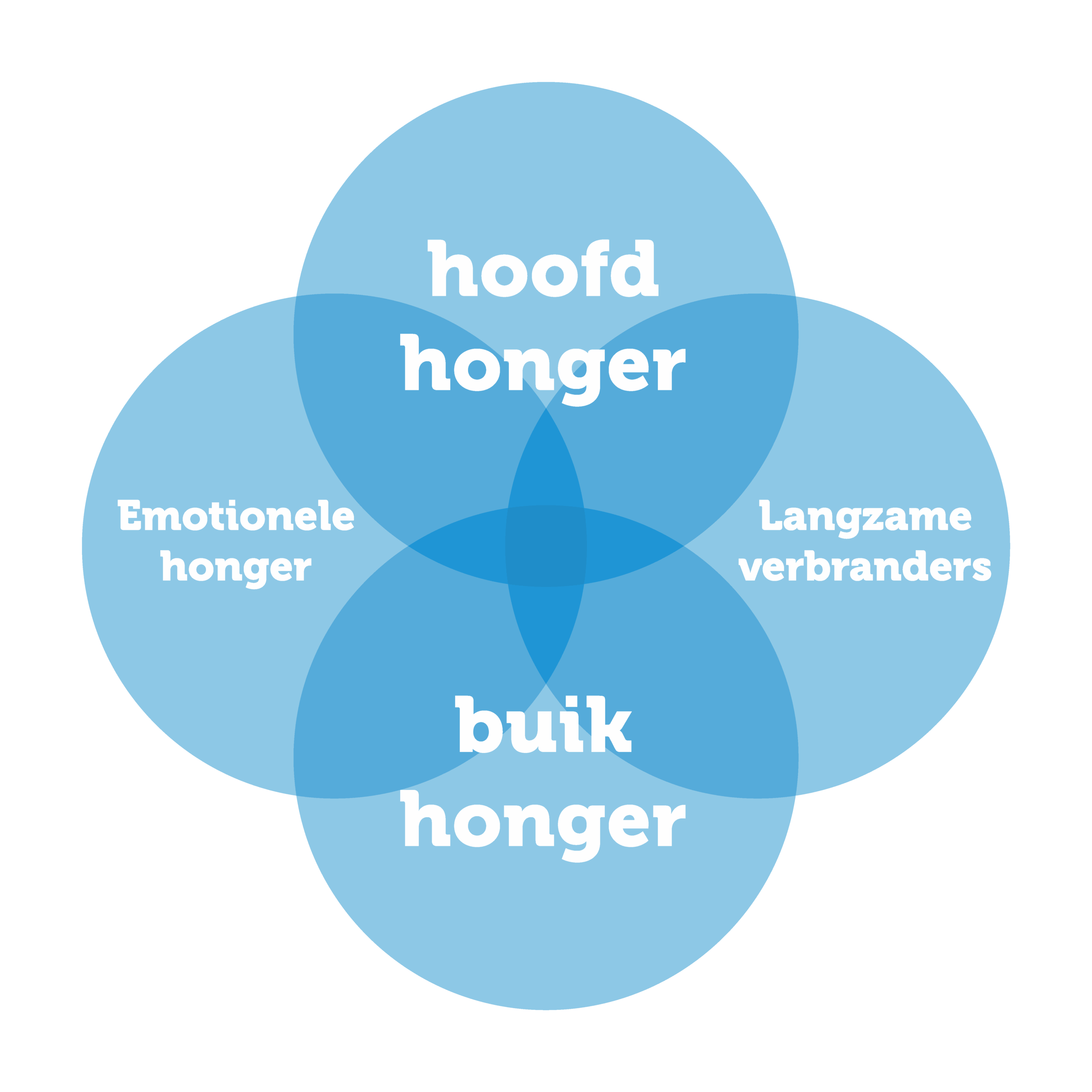 OIDP_tegel_1298x1298_volvlak_3 obesitas oorzaken